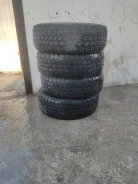Triangle TR246. ������, �/�, ����� 50 % ����