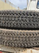 Falken. x13" ����