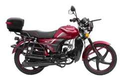 Regulmoto Alpha RM-2. 110����. ��., ��������, ��� ���, ��� ������� ����