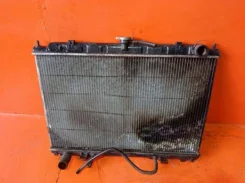 �������� ���������� ��������� Nissan Rnessa 214605V573 214605V573 ����