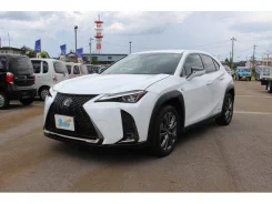 Lexus UX250h. �������, ��������, 2.0, ������, 40 000����. ��, �/�, ��� ���. ��� ����� �� ������������ ����