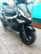 PGO. 220����. ��., ��������, ���, ��� ������� ����