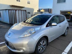Nissan Leaf. ��������, �������������, �/�. ��� ����� �� ������������ ����