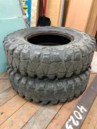 Forward Safari 510. ����� at, 2018 ���, �/�, ����� 50 % ����