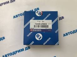 ������ ��������� Nissan UD/Diesel FE6/FE6TA/FE6T STD (2.5K+2.0+4.0) (���� �� �������� �� ��������� ) [12040-Z5519] 12040Z5519 ����