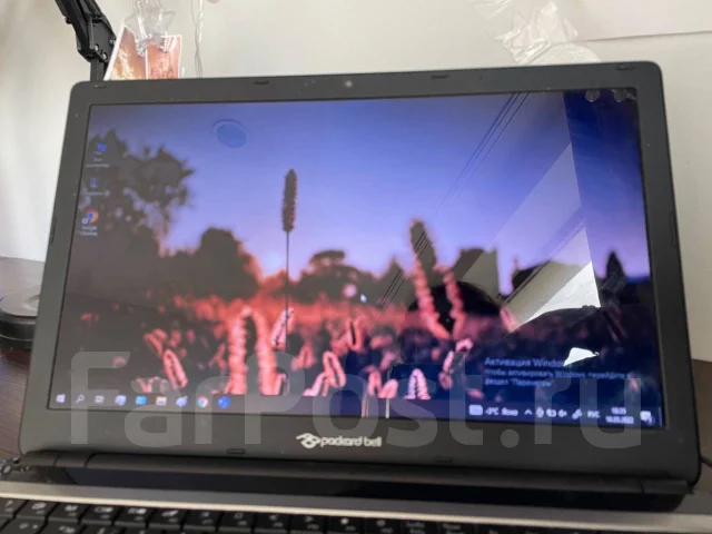 Packard Bell. ��� 8 ��, ���� 265���, WiFi: 1, Bluetooth: 1 ����