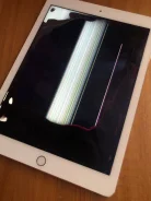Apple iPad Air 2 ����