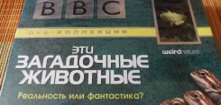 DVD. ��� ���������� ��������! � ���������. ����