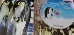 DVD. �����-2. ���� �� ���� �����. ����