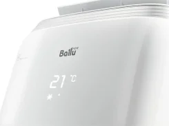 Ballu. 20��&sup2; ����