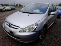 Peugeot 307 ����