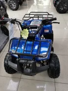 Motoland Rider 110. ��������, ��� ���\���, ��� ������� ����