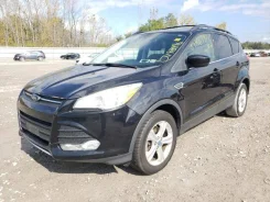 Ford Kuga ����