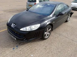 Peugeot 407 ����