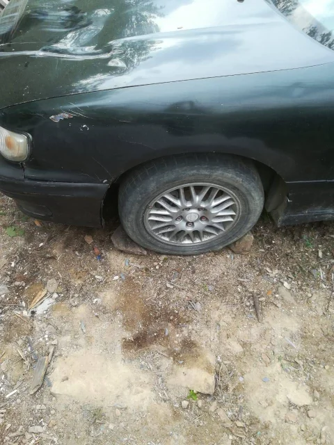 Nissan Cefiro. �������, ��������, 2.0 (155��.�.), ������, 1����. �� ����