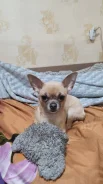 ������� � ������� �������� ����