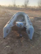 ������ 375. 2019 ���, ����� 3,8��., ��������� ���������, 9,9��.�., ������ ����