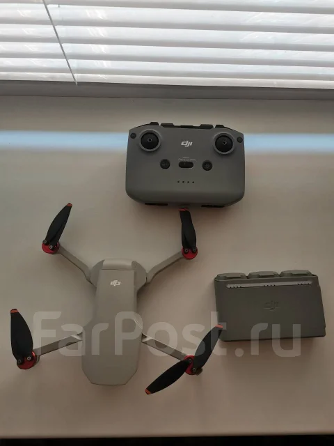 DJI Mini 2. � ������� ����