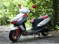 Irbis Nirvana. 150����. ��., ��������, ���, � �������� ����