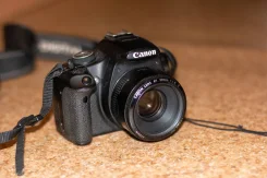 Canon EOS 500D. 15 - 19.9 ��, ���: ��� ���� ����