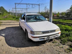 Toyota Corolla. �������, ��������, 2.0 (79��.�.), ������, 350 000����. �� ����