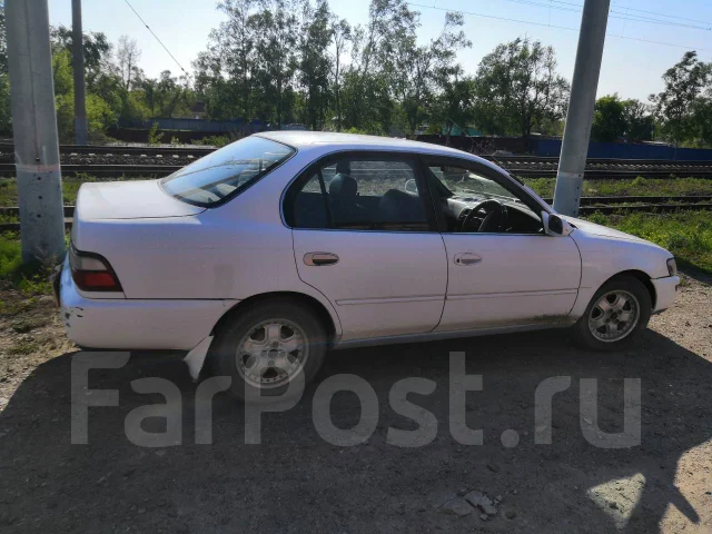 Toyota Corolla. �������, ��������, 2.0 (79��.�.), ������, 350 000����. �� ����
