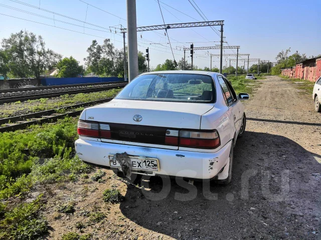 Toyota Corolla. �������, ��������, 2.0 (79��.�.), ������, 350 000����. �� ����