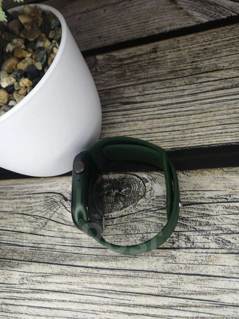 Smart Watch. GPS, NFC, IP68 ����