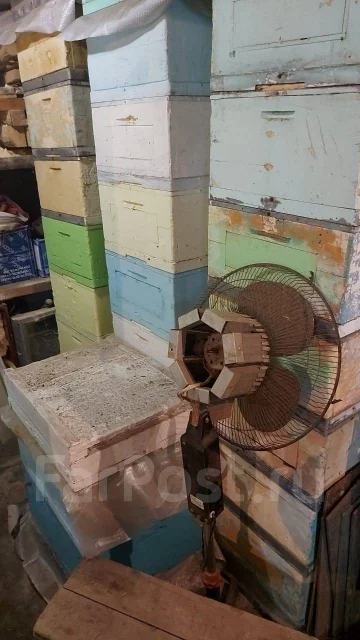 ����. ����