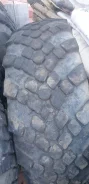 ����-1260. �����������, �/�, ����� 60�%. ��� ���� ����