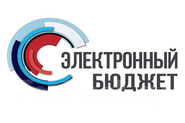 Электронный бюджет федеральные проекты