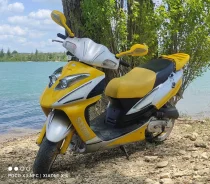 Eurotex Steed. 49����. ��., ��������, ���, � �������� ����