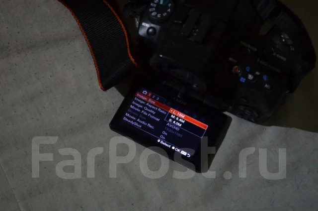 Sony Alpha SLT-A55V. 15 - 19.9 ��, ���: 3� ����
