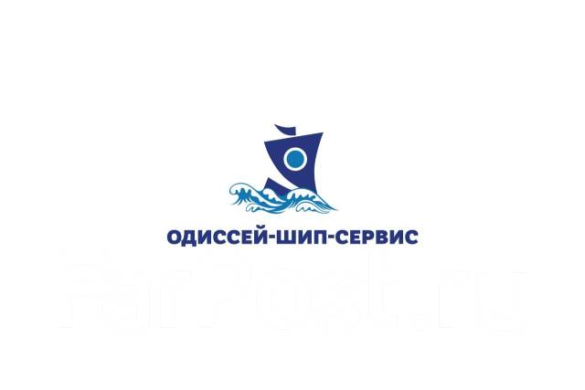 Тесла сервис владивосток