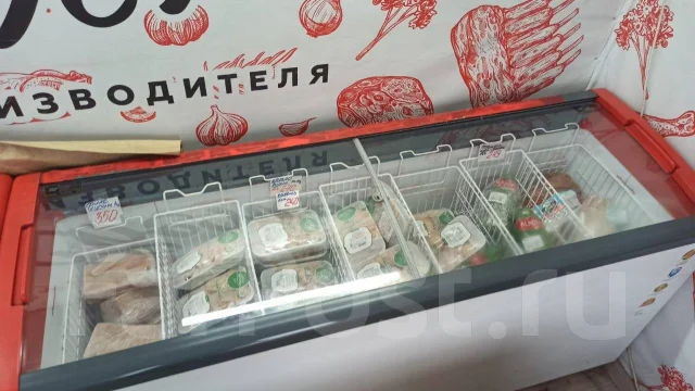 ���� �����������. ����