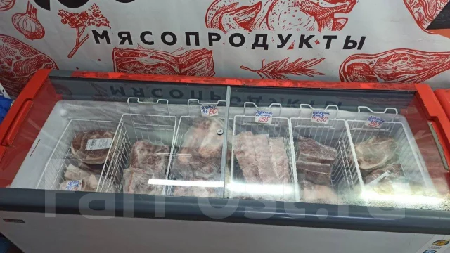 ���� �����������. ����