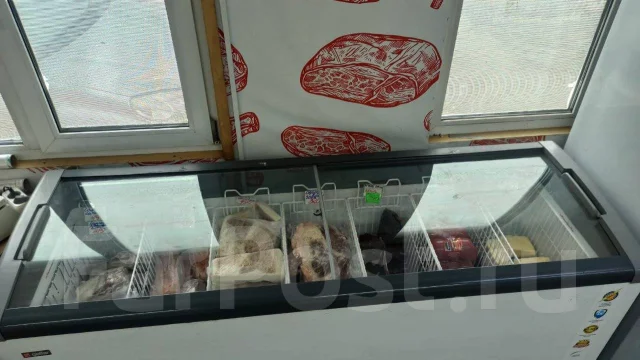 ���� �����������. ����
