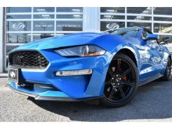 Ford Mustang. �������, ������, 2.3, ������, 37 000����. ��, �/�, ��� ���. ��� ����� �� ������������ ����