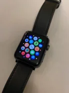 Apple Watch Series 3. GPS, NFC ����