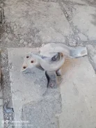 ������� ��������� ������ �������� ��������� ����� ����� ����