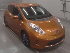 Nissan Leaf. ��������, �������������, �/�. ��� ����� �� ������������ ����
