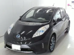 Nissan Leaf. ��������, �������������, �/�. ��� ����� �� ������������ ����