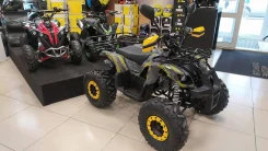 Motax ATV Grizlik. ��������, ��� ���\���, ��� ������� ����