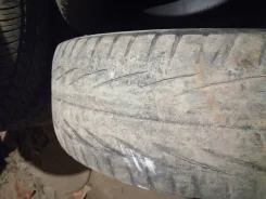 Toyo Trampio. ������, 2007 ���, �/�, ����� 50 % ����