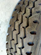 Transtone. �����������, 2020 ���, �����. ��������� ����