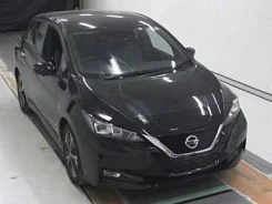 Nissan Leaf. ��������, ��������, �������������, 12 000����. ��, �/�. ��� ����� �� ������������ ����