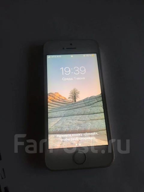 Apple iPhone SE. �/� ����