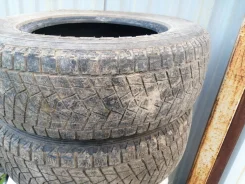 Bridgestone Blizzak DM-Z2. �����������, �/�, ����� 20 % ����
