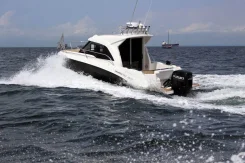 Hammertone 25 HT. ����� 7,48��., 250��.�. ����