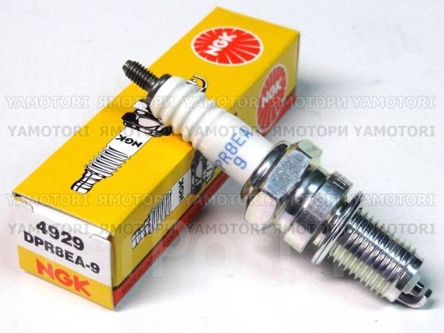 NGK Spark Plug DPR8EA-9 - (DPR8EA9) - Trade Prices 4929 - Foto 12